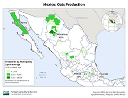 images\MX\Municipality\Mexico_Oats_preview.png